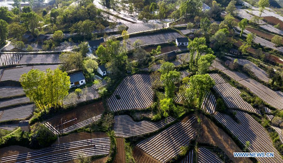 CHINA-SHAANXI-LUONAN-FARM FIELDS-SCENERY (CN)