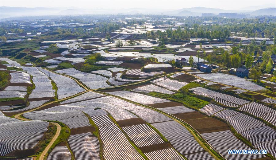 CHINA-SHAANXI-LUONAN-FARM FIELDS-SCENERY (CN)