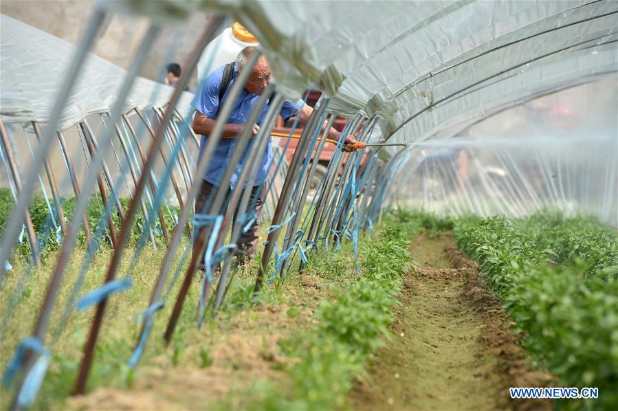 CHINA-ANHUI-IMPOVERISHED COUNTIES-OUT OF POVERTY (CN)