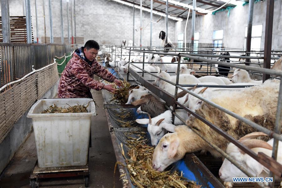 CHINA-ANHUI-IMPOVERISHED COUNTIES-OUT OF POVERTY (CN)