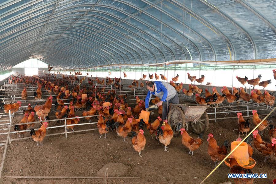 CHINA-ANHUI-IMPOVERISHED COUNTIES-OUT OF POVERTY (CN)