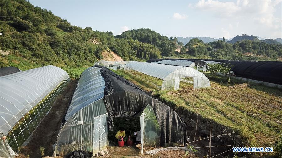 CHINA-ANHUI-IMPOVERISHED COUNTIES-OUT OF POVERTY (CN)