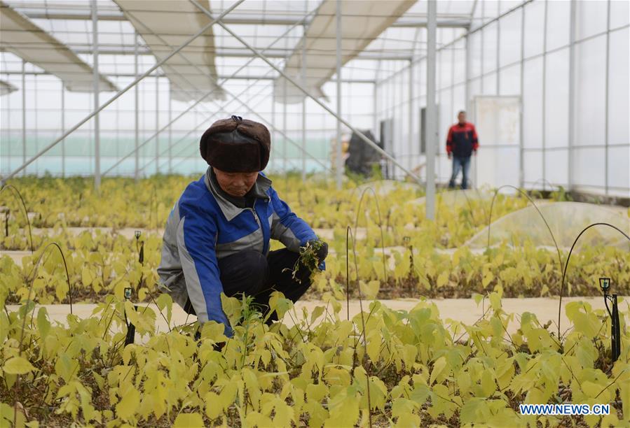 CHINA-ANHUI-IMPOVERISHED COUNTIES-OUT OF POVERTY (CN)