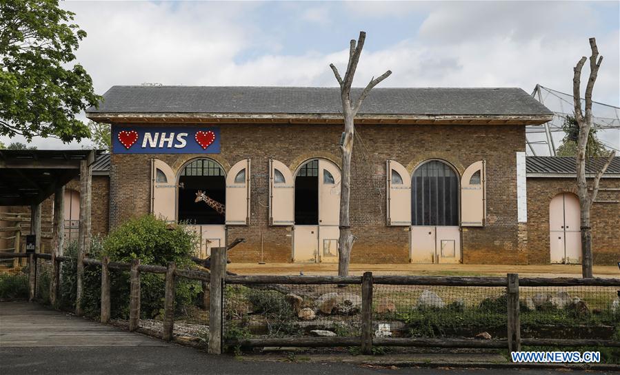 BRITAIN-LONDON-LONDON ZOO