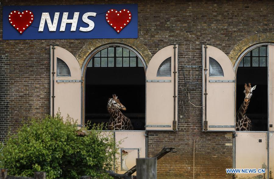 BRITAIN-LONDON-LONDON ZOO