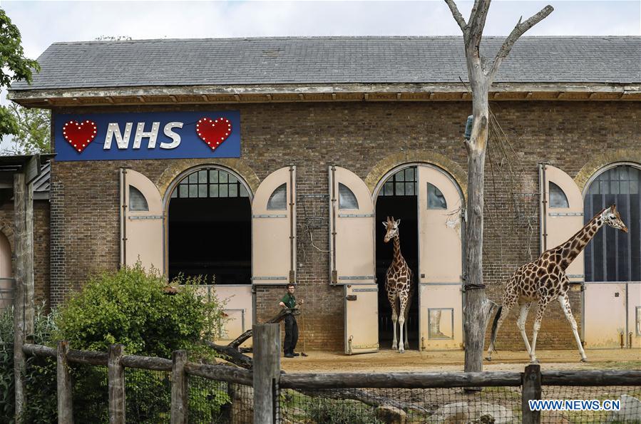 BRITAIN-LONDON-LONDON ZOO