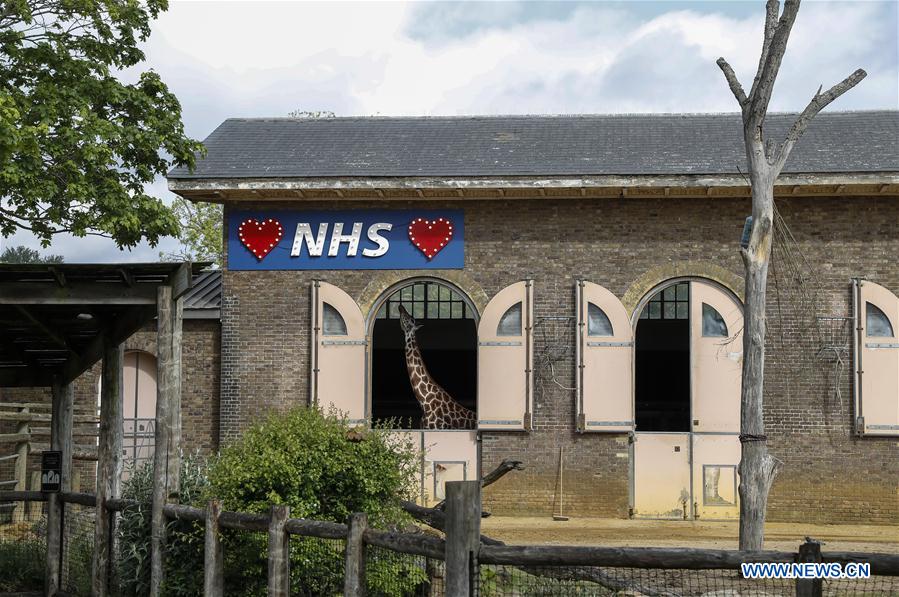 BRITAIN-LONDON-LONDON ZOO