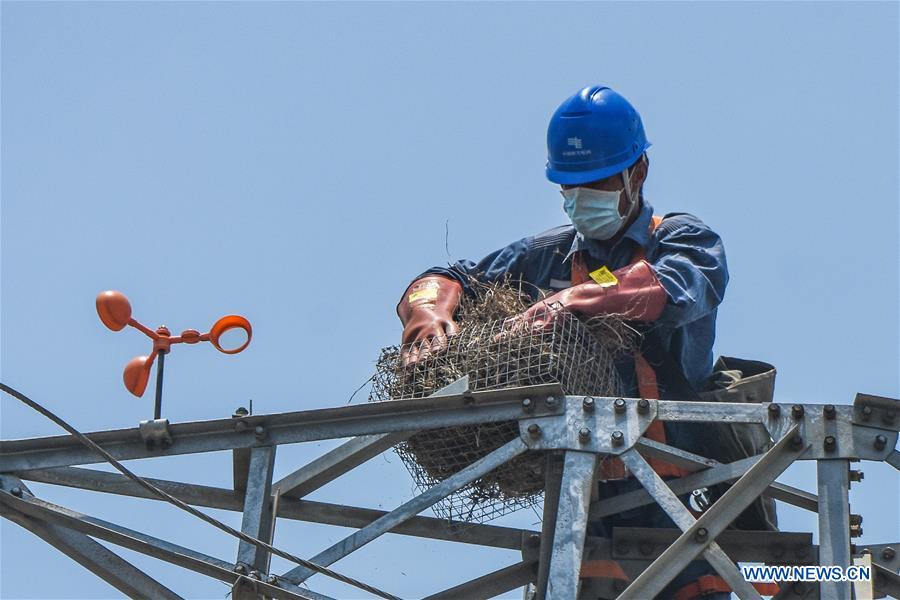 CHINA-HAINAN-WENCHANG-ELECTRICITY PYLON-ARTIFICIAL NEST (CN)