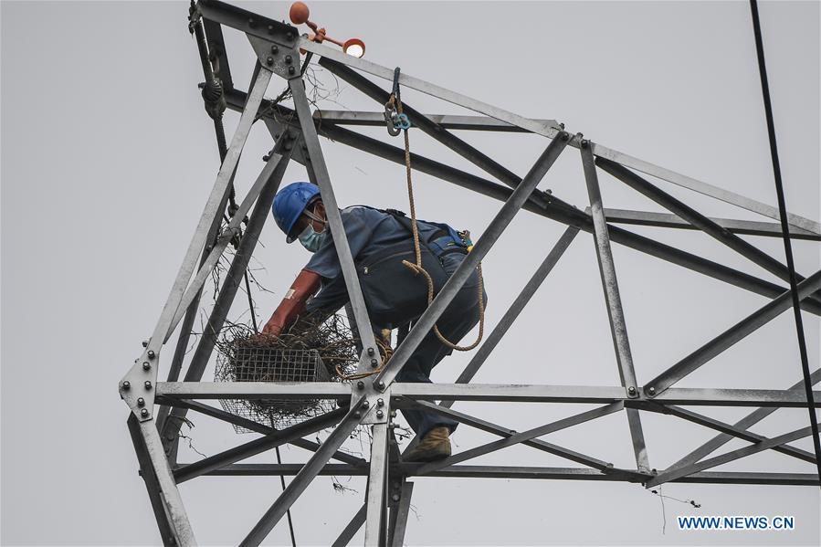 CHINA-HAINAN-WENCHANG-ELECTRICITY PYLON-ARTIFICIAL NEST (CN)
