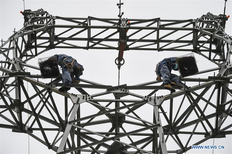 CHINA-HAINAN-WENCHANG-ELECTRICITY PYLON-ARTIFICIAL NEST (CN)