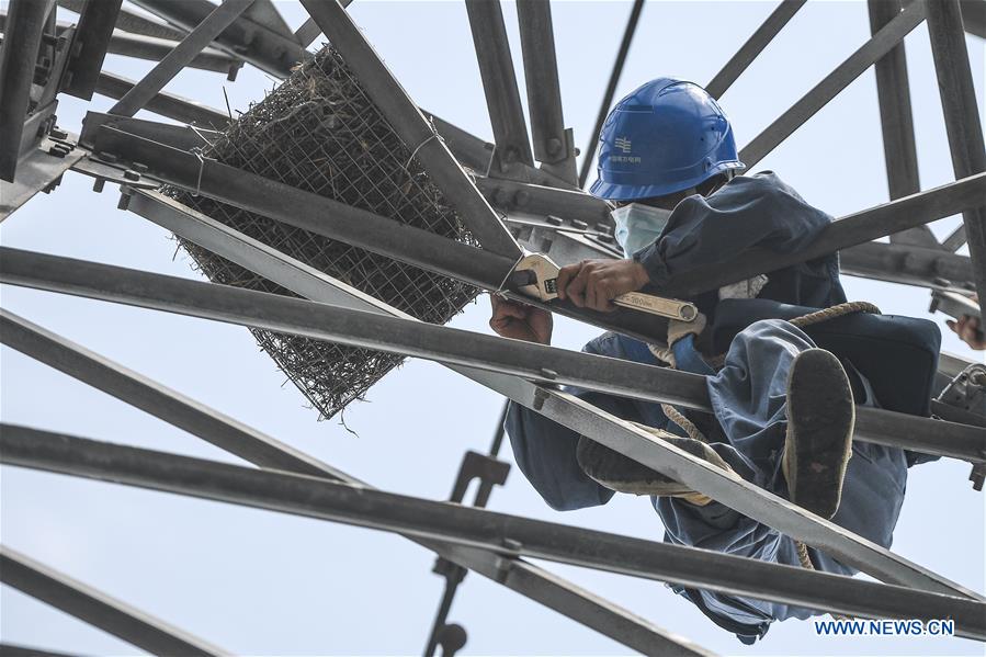 CHINA-HAINAN-WENCHANG-ELECTRICITY PYLON-ARTIFICIAL NEST (CN)