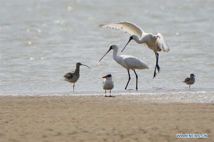 CHINA-FUJIAN-MINJIANG RIVER-ESTUARY WETLAND (CN)