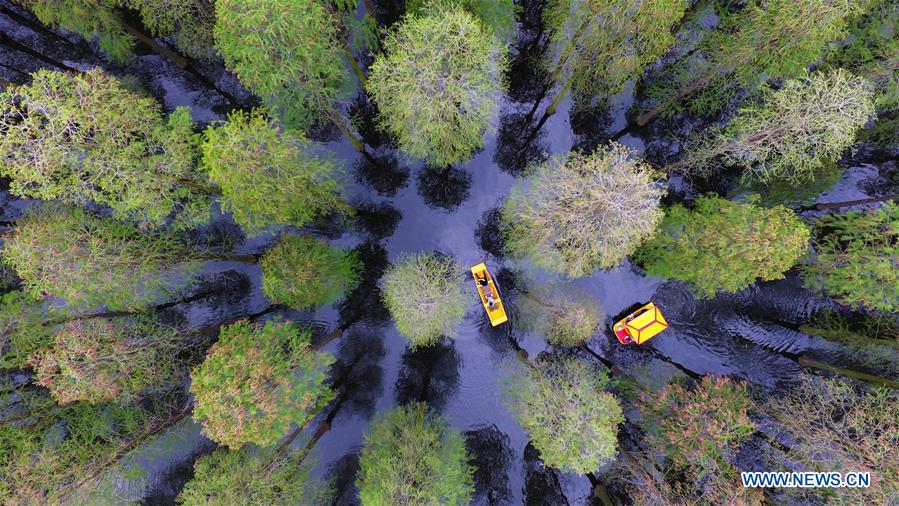 #CHINA-JIANGSU-WETLAND-TOURISM (CN)