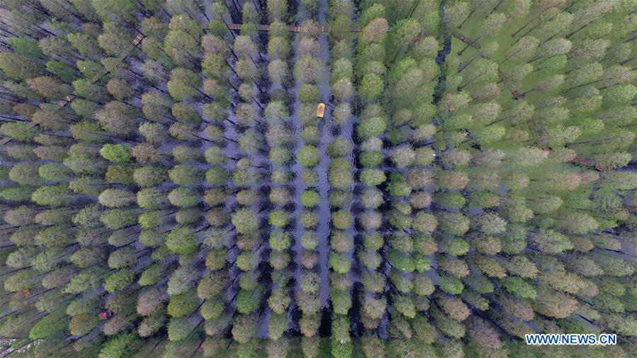 #CHINA-JIANGSU-WETLAND-TOURISM (CN)