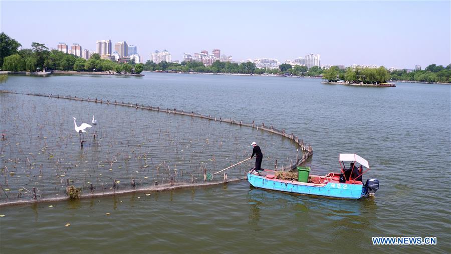 CHINA-SHANDONG-DAMING LAKE-SANITATION (CN)