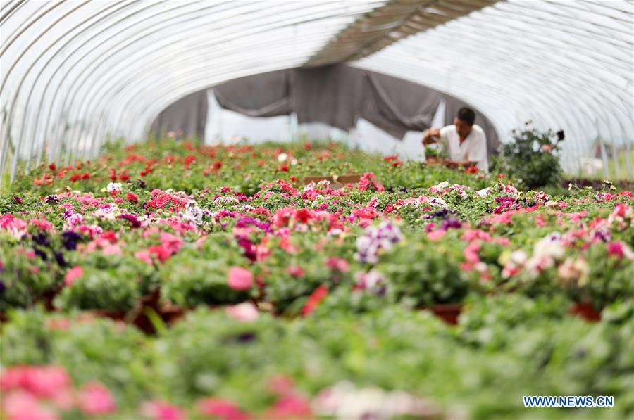 #CHINA-LABOR DAY HOLIDAY-WORKERS (CN)