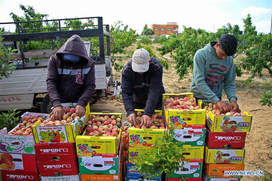 MIDEAST-GAZA-DAILY LIFE