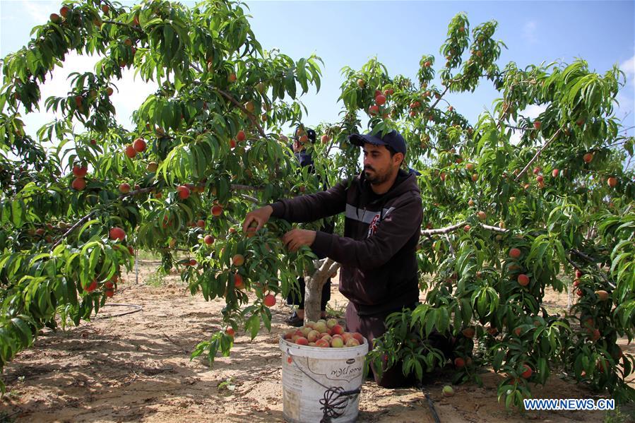 MIDEAST-GAZA-DAILY LIFE