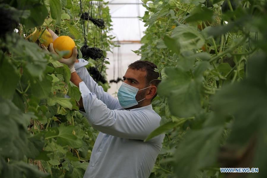 MIDEAST-GAZA-DAILY LIFE