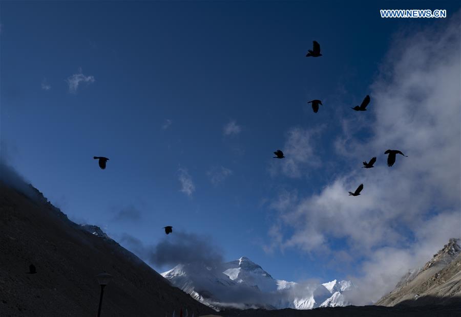 CHINA-TIBET-MOUNT QOMOLANGMA-WILDLIFE (CN)