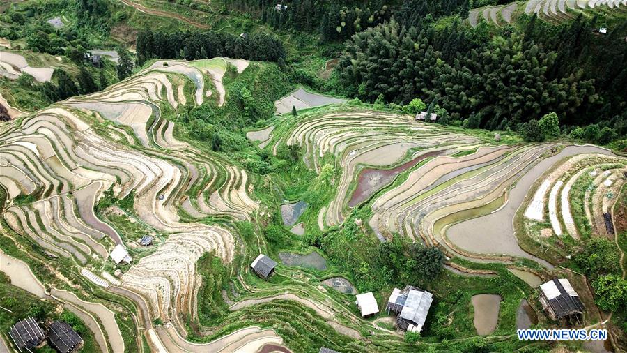 #CHINA-GUIZHOU-RONGJIANG-TERRACED FIELDS (CN)
