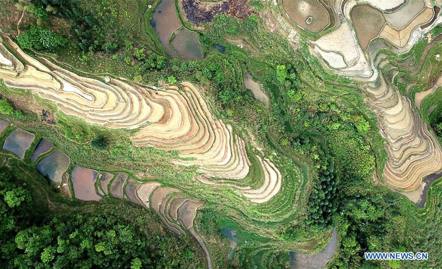 #CHINA-GUIZHOU-RONGJIANG-TERRACED FIELDS (CN)