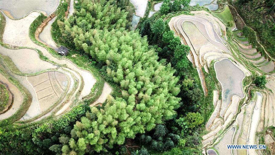 #CHINA-GUIZHOU-RONGJIANG-TERRACED FIELDS (CN)