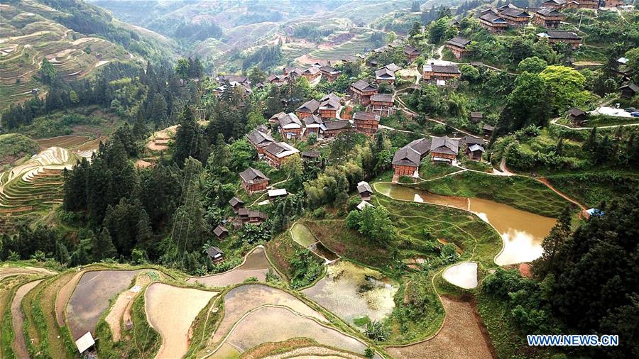#CHINA-GUIZHOU-RONGJIANG-TERRACED FIELDS (CN)