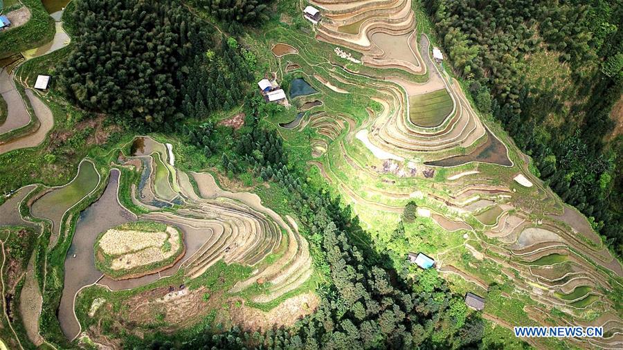 #CHINA-GUIZHOU-RONGJIANG-TERRACED FIELDS (CN)