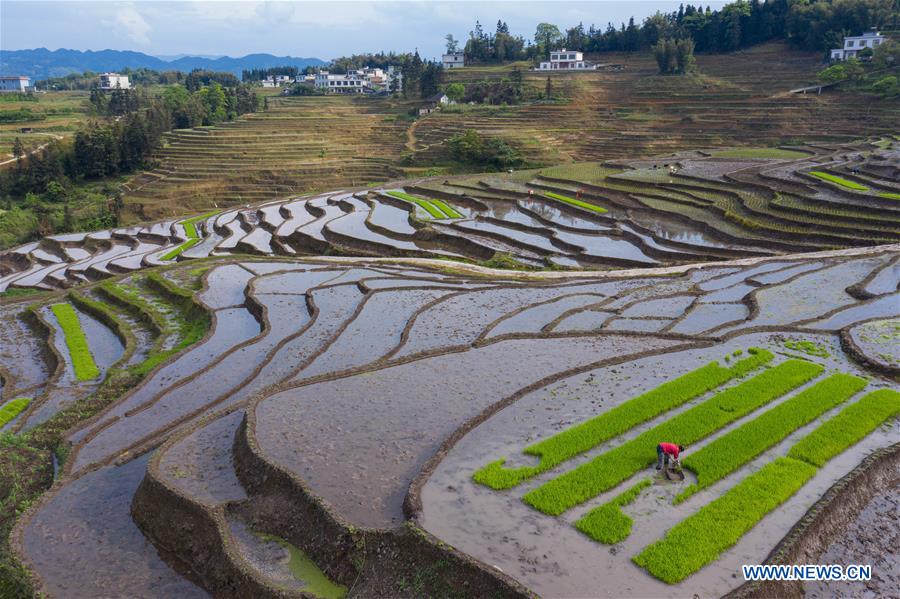 CHINA-SICHUAN-GONGXIAN-TERRACED FIELD-FARMING (CN)