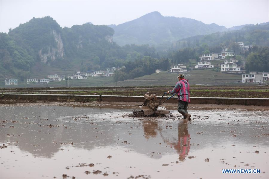 CHINA-SICHUAN-GONGXIAN-TERRACED FIELD-FARMING (CN)