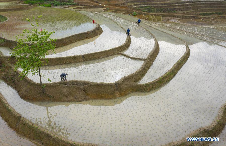 CHINA-SICHUAN-GONGXIAN-TERRACED FIELD-FARMING (CN)