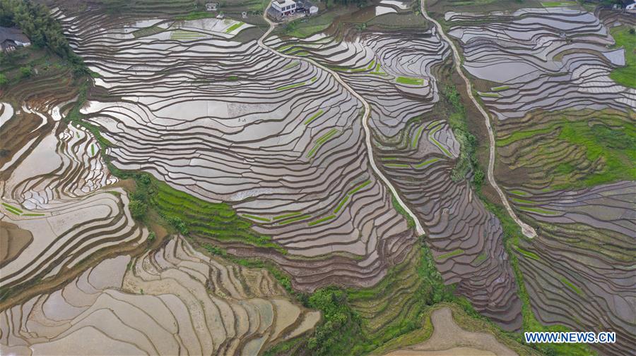 CHINA-SICHUAN-GONGXIAN-TERRACED FIELD (CN)
