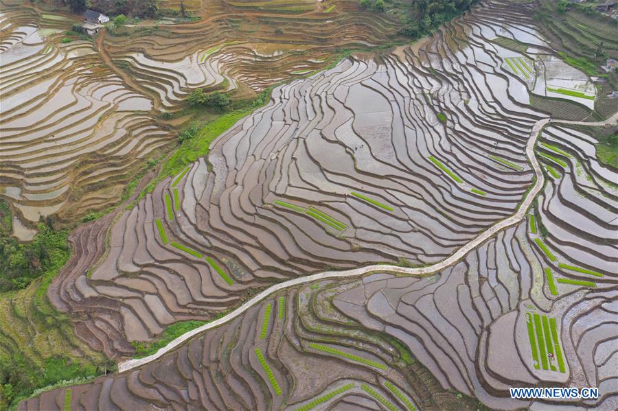 CHINA-SICHUAN-GONGXIAN-TERRACED FIELD (CN)