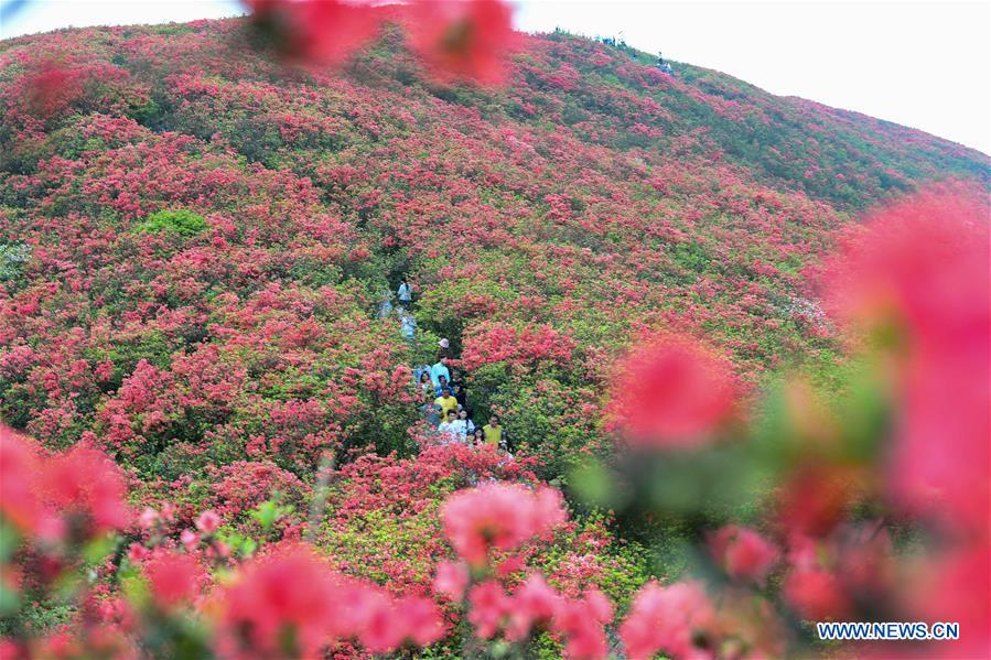 XINHUA PHOTOS OF THE DAY