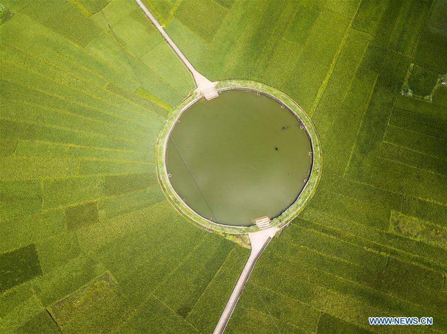XINHUA PHOTOS OF THE DAY