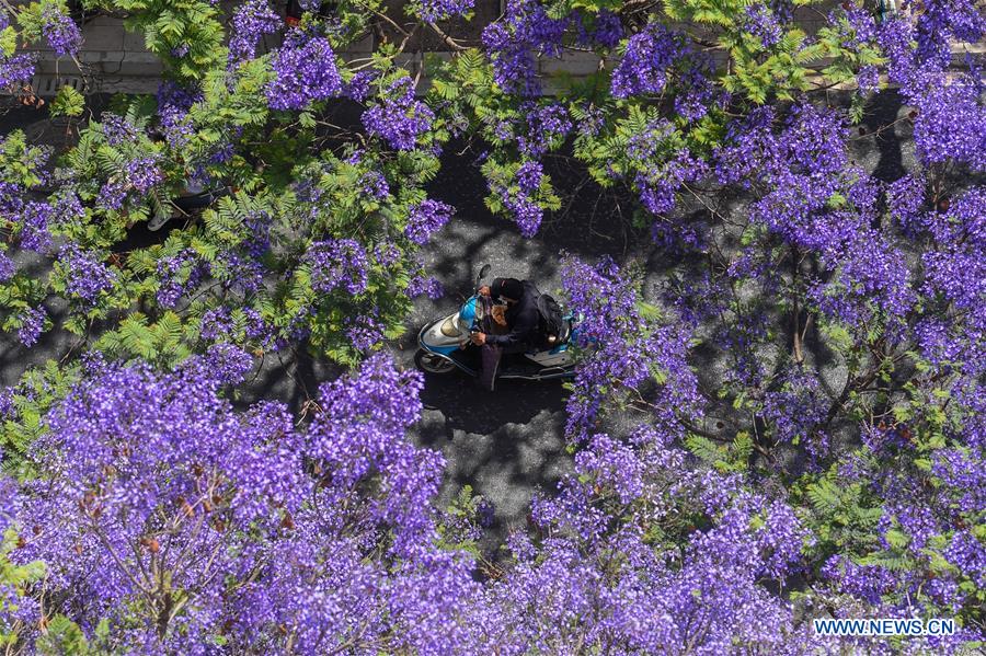 XINHUA PHOTOS OF THE DAY