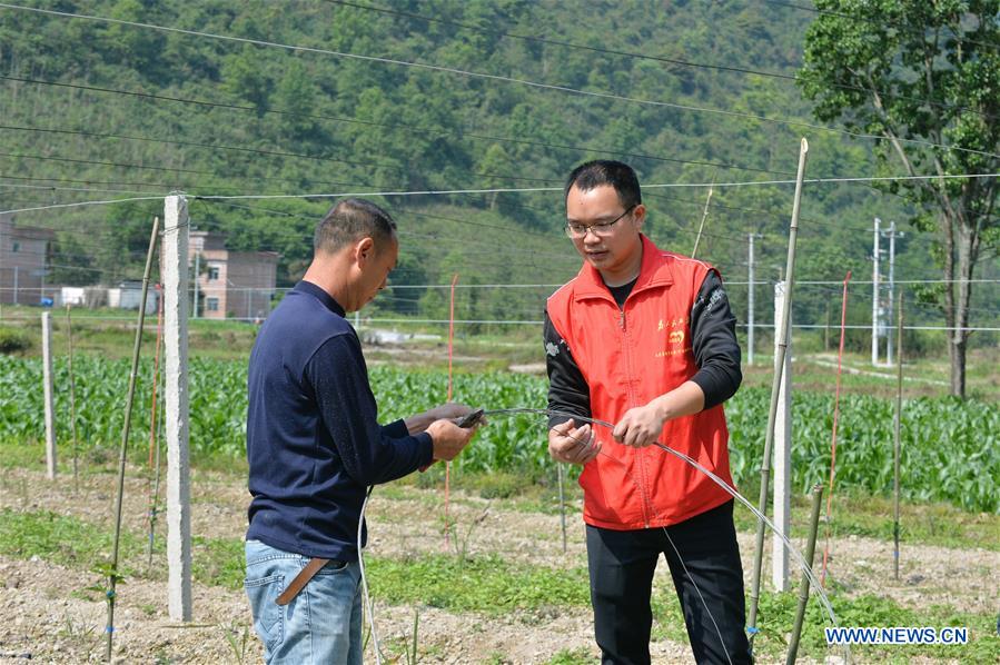 CHINA-GUANGXI-POVERTY ALLEVIATION-YOUTH (CN)