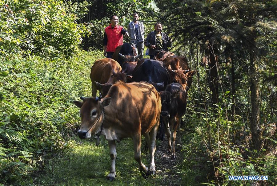 CHINA-GUANGXI-POVERTY ALLEVIATION-YOUTH (CN)