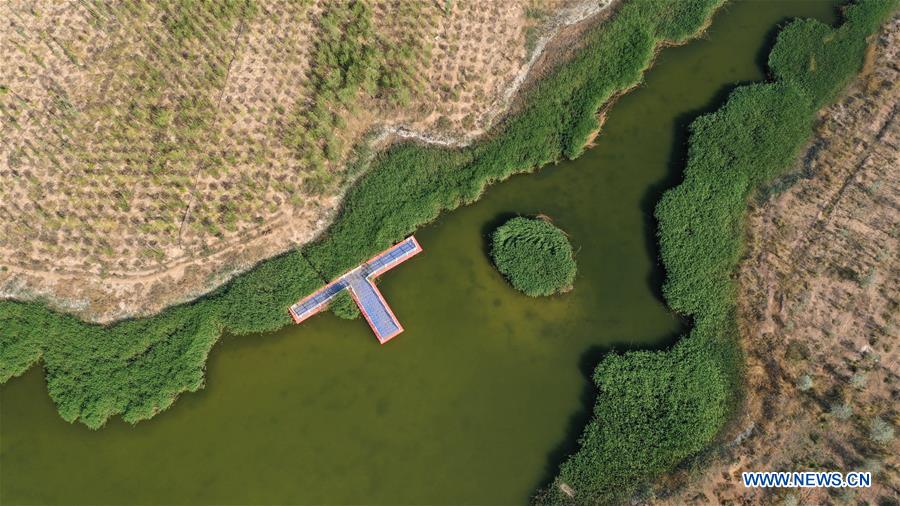 CHINA-NINGXIA-ZHONGWEI-WETLAND-SCENERY (CN)