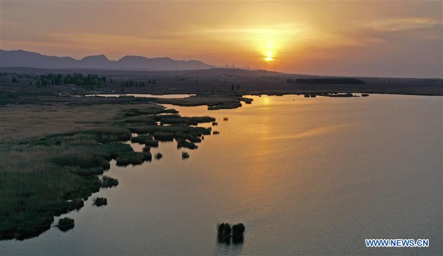 CHINA-NINGXIA-ZHONGWEI-WETLAND-SCENERY (CN)