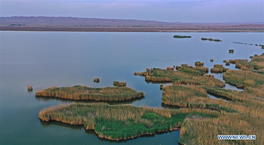 CHINA-NINGXIA-ZHONGWEI-WETLAND-SCENERY (CN)