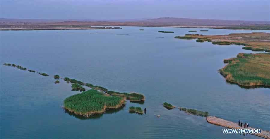 CHINA-NINGXIA-ZHONGWEI-WETLAND-SCENERY (CN)