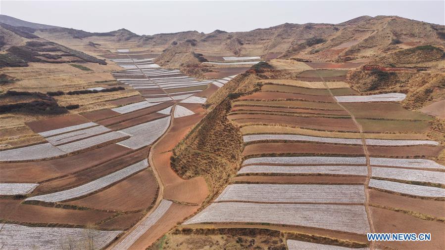 CHINA-QINGHAI-HAIDONG-FOREST FARM (CN)