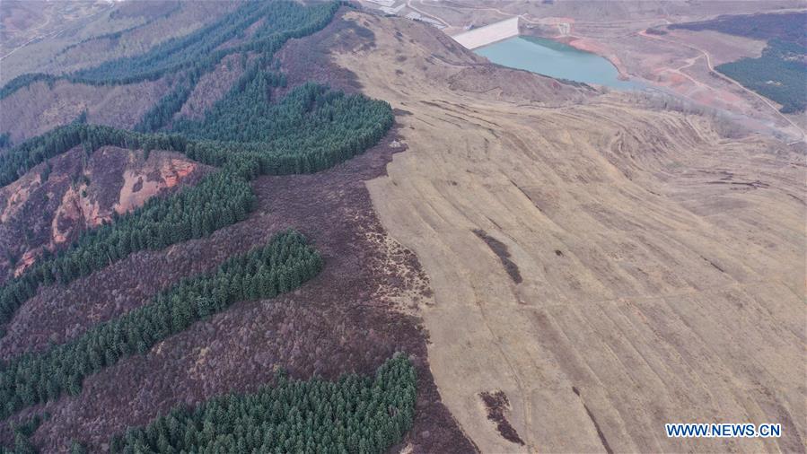 CHINA-QINGHAI-HAIDONG-FOREST FARM (CN)