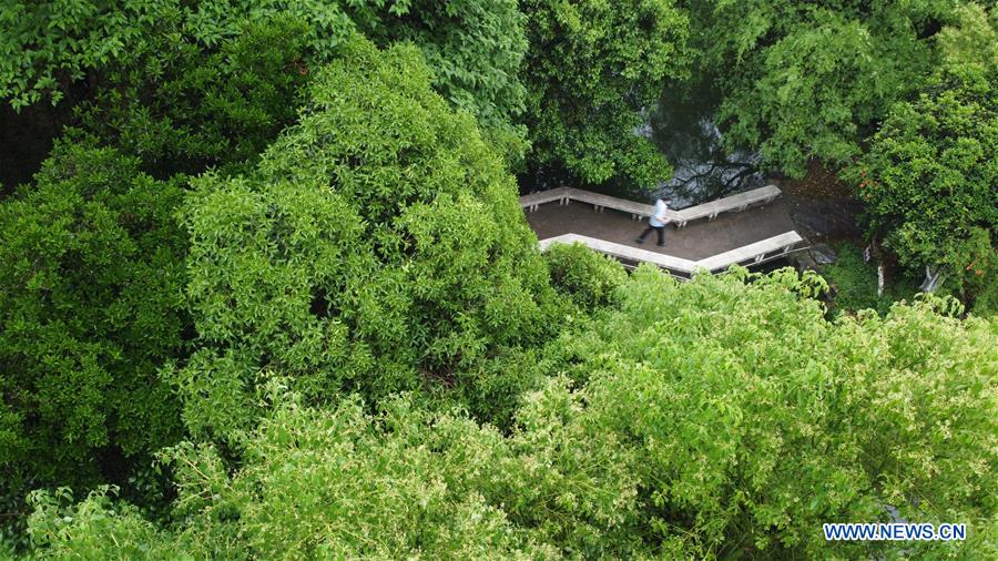 CHINA-ANHUI-HEFEI-PARK (CN)