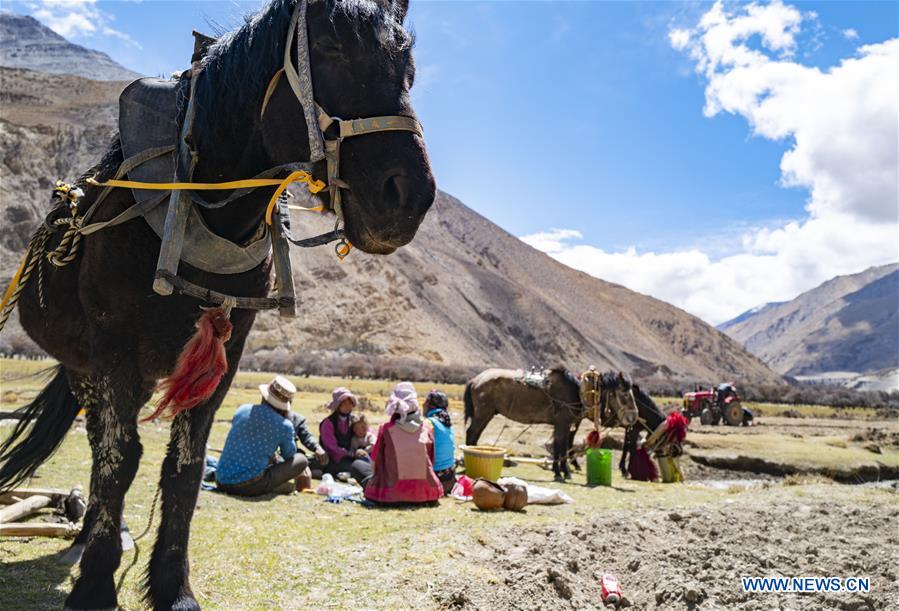 (InTibet) CHINA-TIBET-DAILY LIFE (CN)