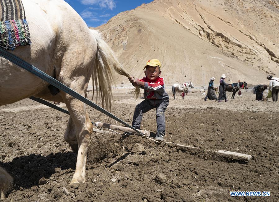 (InTibet) CHINA-TIBET-DAILY LIFE (CN)