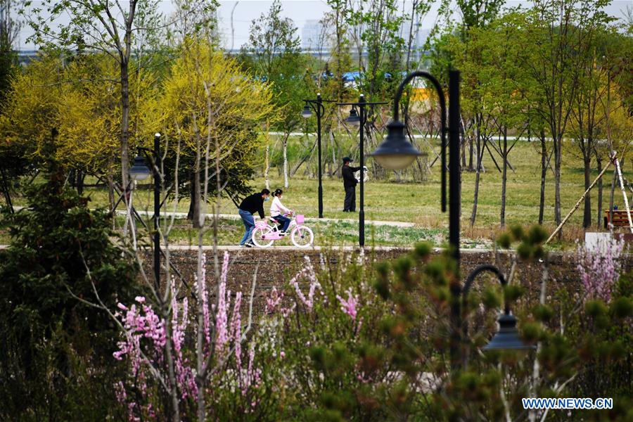 CHINA-HEILONGJIANG-COVID-19-LOW-RISK (CN)