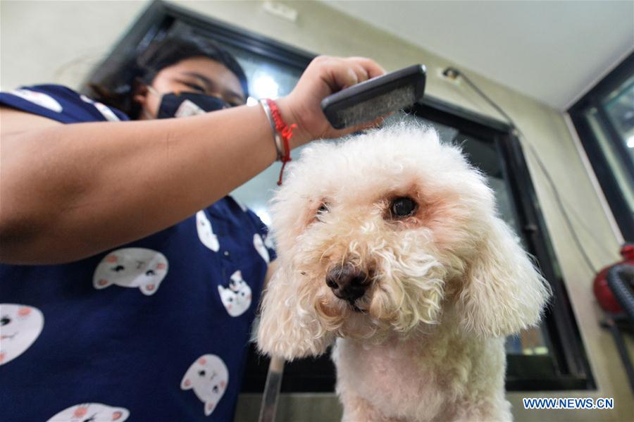 THAILAND-BANGKOK-COVID-19-PET GROOMING SERVICE-REOPEN